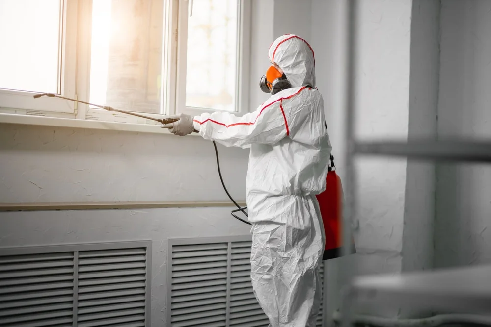 Professional mold remediation services in Rockwall, TX